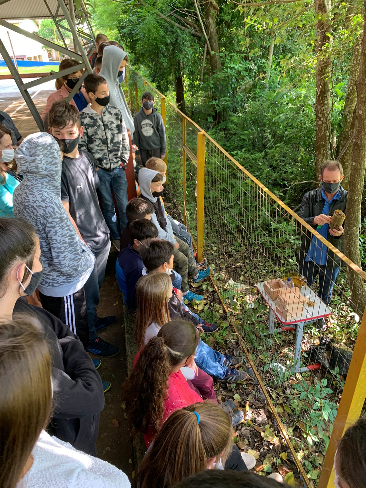 SOCIALIZAÇÃO DO PROJETO ABELHAS NÃO FAZEM MAL, FAZEM MEL DA ESCOLA MUN. DE ENS. FUND. MACHADO DE ASSIS
